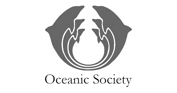 21e57b3f-05d9-4c2f-8c30-042f9b8b7c94